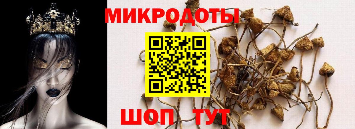 Галлюциногенные грибы ЛСД Гуково
