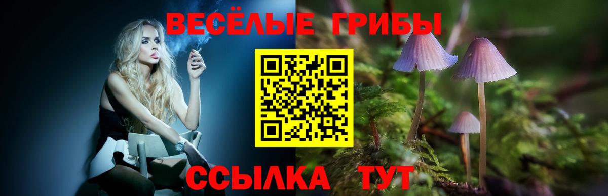 Галлюциногенные грибы Cubensis  Вход с VPN  Гуково 