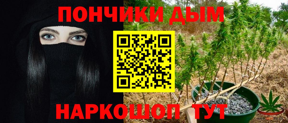Каннабис конопля Гуково